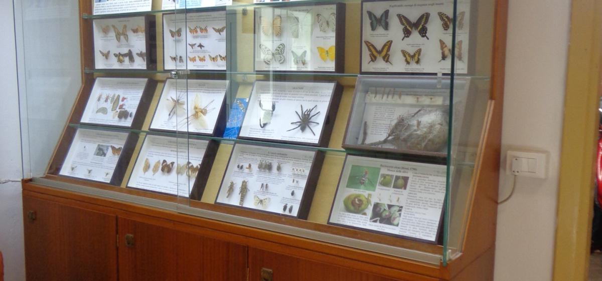 View Gallery