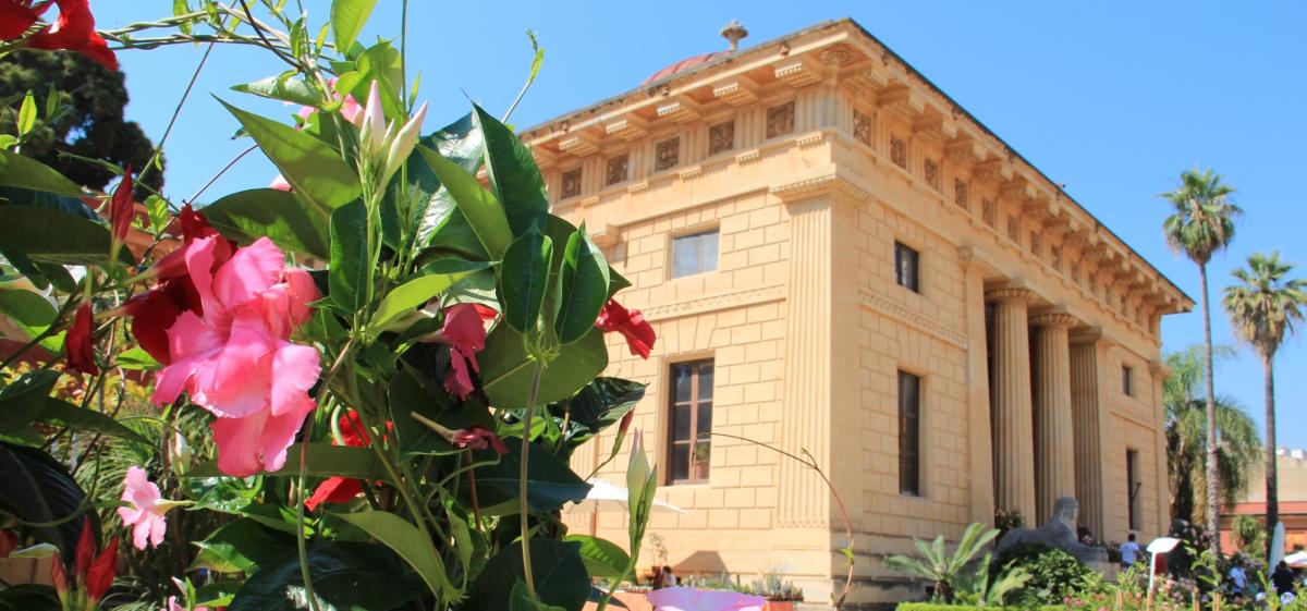 Zagara di primavera 2025