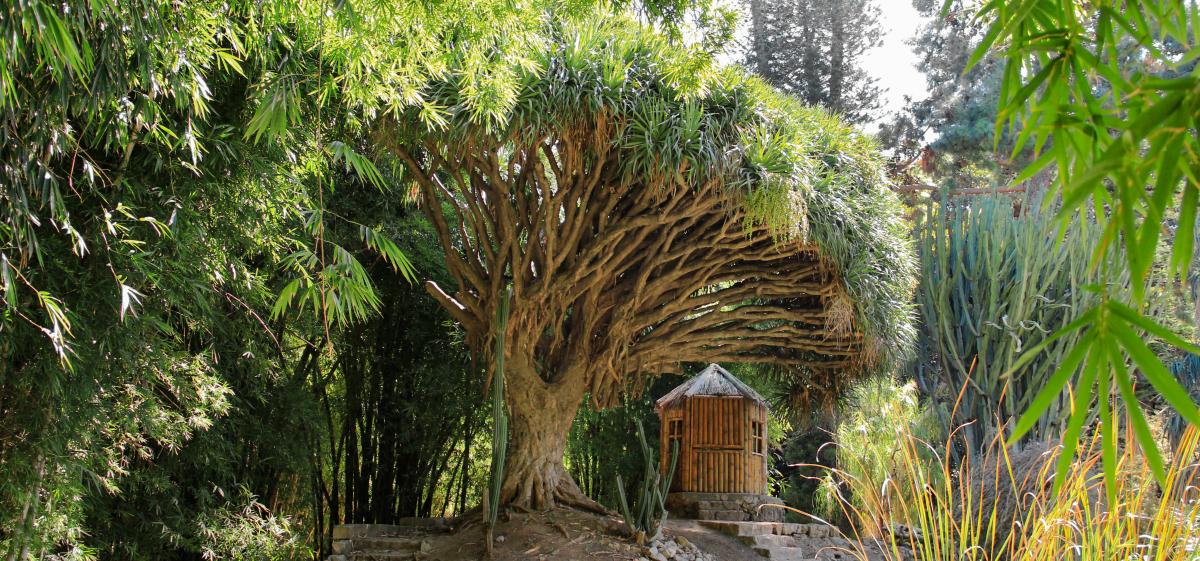 View Gallery