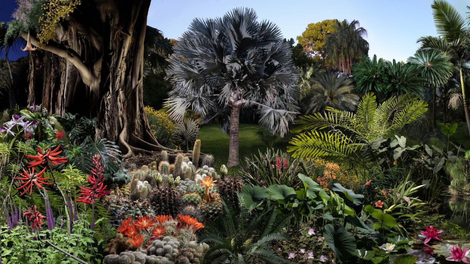 Installazione Botanica Meraviglia - Casa del Pozzo (Orto Botanico)