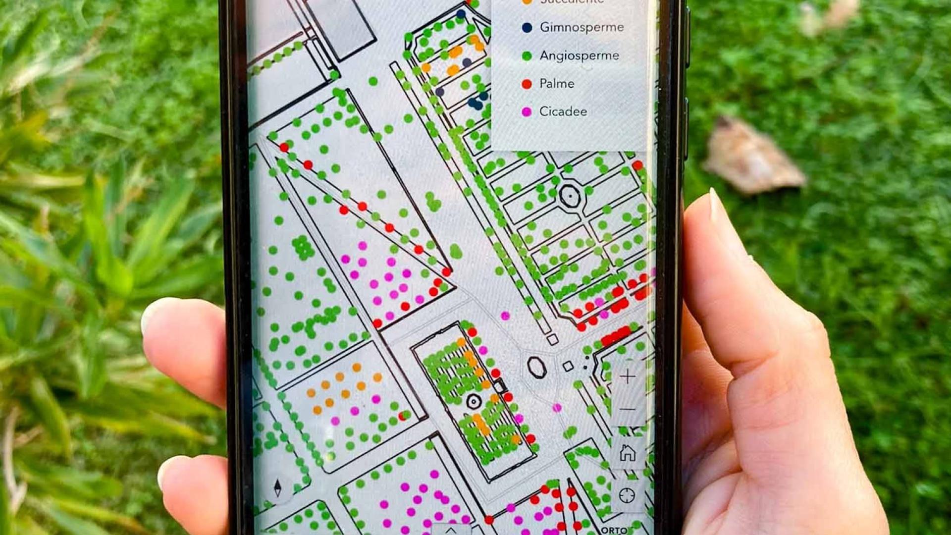 GISOrto - banca dati digitale del patrimonio vegetale in piena terra dell’Orto Botanico