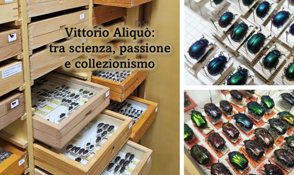 Vittorio Aliquò: tra scienza, passione e collezionismo